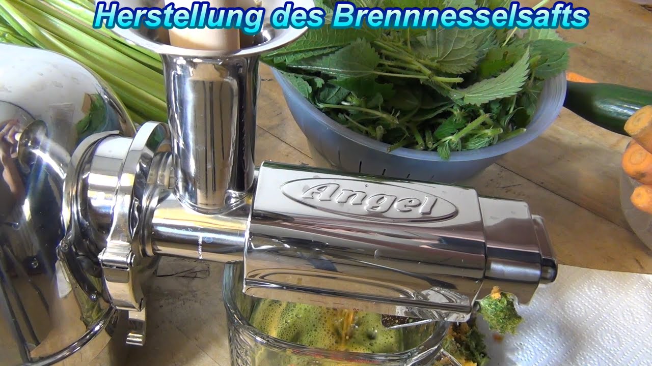 Brennnesselsaft mit Angel Juicer: Kostenlose Wildkräuter für starke Augen. Tipps zu Ernte & Lagerung