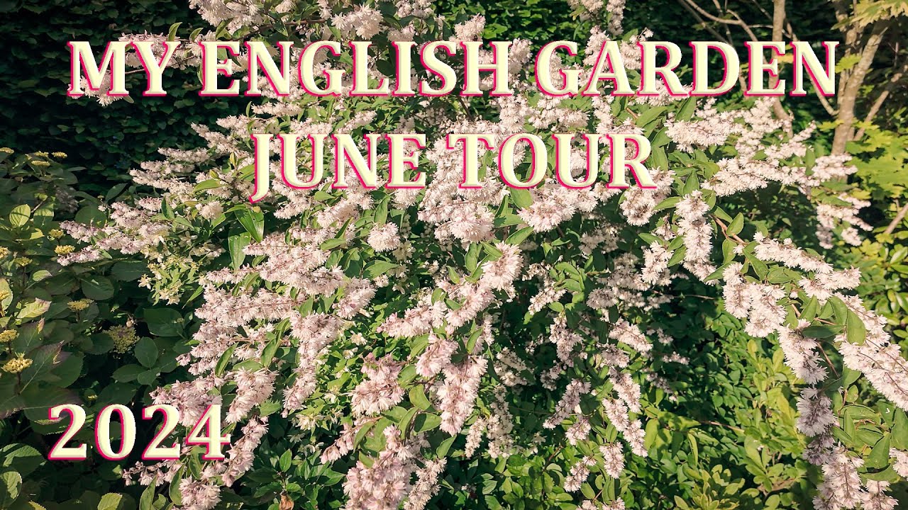 June in Flower Tour - My English Garden  - 2024