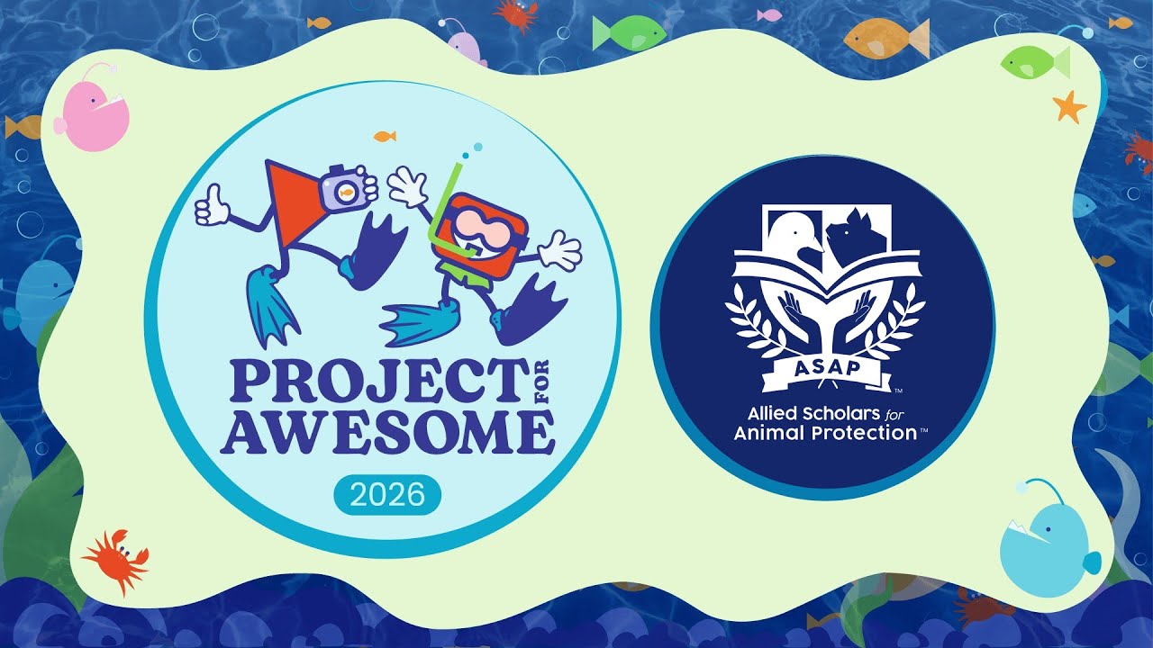 Vote ASAP to Save Animals and Planet #p4a2026