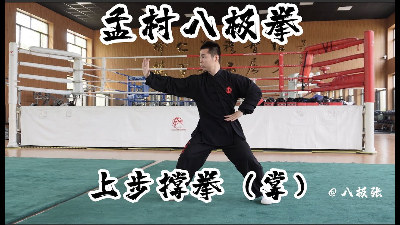 【Chinese Kung Fu】Baji Quan Tutorial Session 2 Single Moves: Stepping Forward with Hands 八极拳 单式 上步撑拳