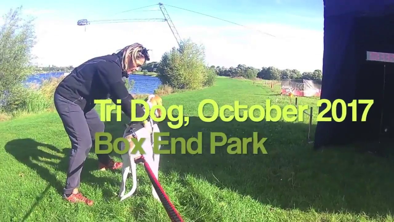 Tri-Dog UK - Bikejor (Oct 2017)