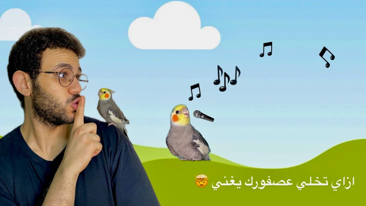 أزاي تدرب عصفورك يغني اي موسيقي يسمعها 🤯🎼❤️