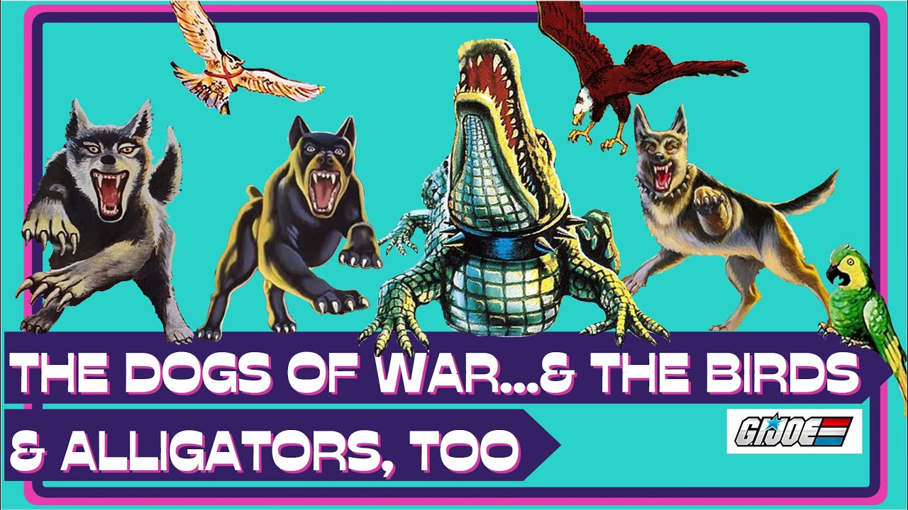 GI JOE Action Figures ANIMAL PARTNERS | 80s Toys A Real American Hero & Man's Best Friend You Needed