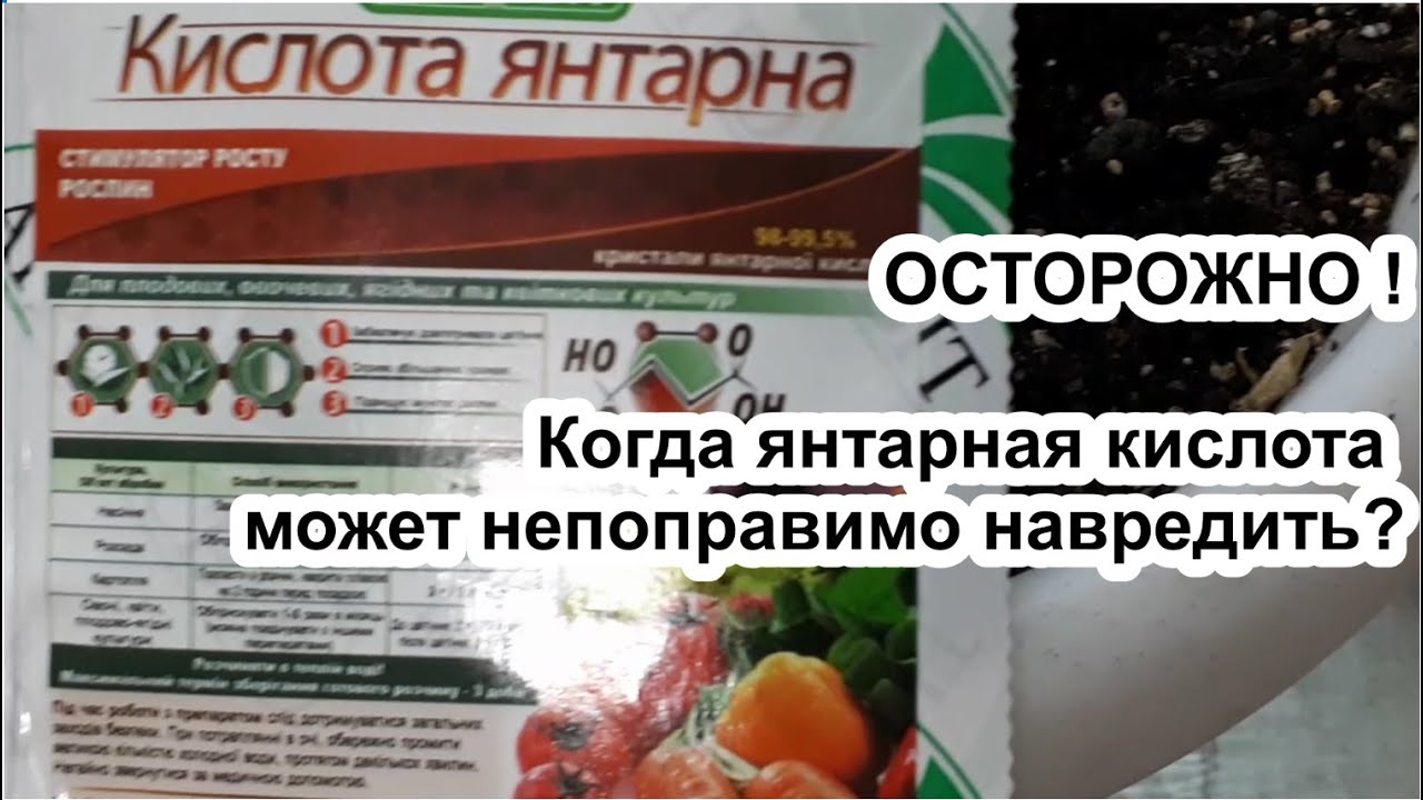 Не применяйте ЯНТАРНУЮ КИСЛОТУ в этих случаях! Как янтарная кислота может уничтожить растения