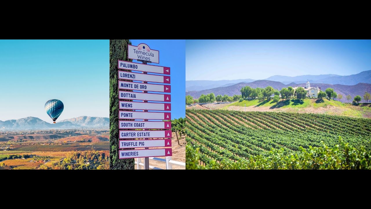 Temecula Wine Country: Making the Tasting Decision