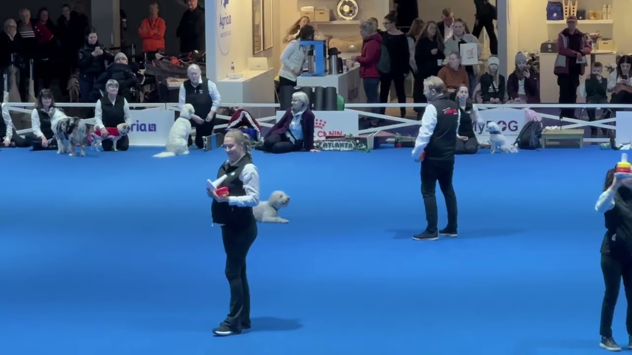 Uppvisningsgruppen 2026 Duktig Hund