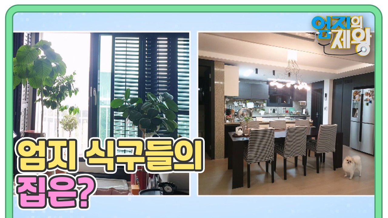 풍수학으로 배워보는 배우 오영실과 mc 조우종의 집은? MBN 260217 방송
