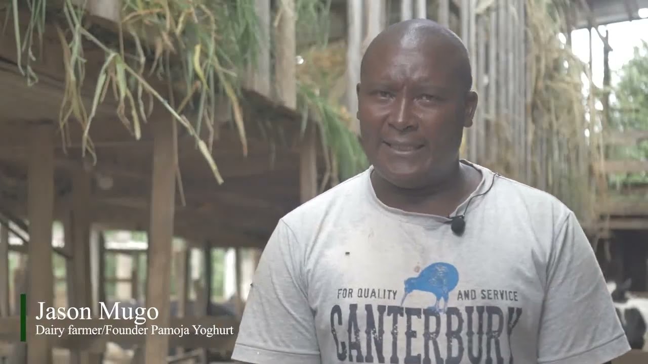 From Embu to Success | UTS Empowering Dairy Farmers