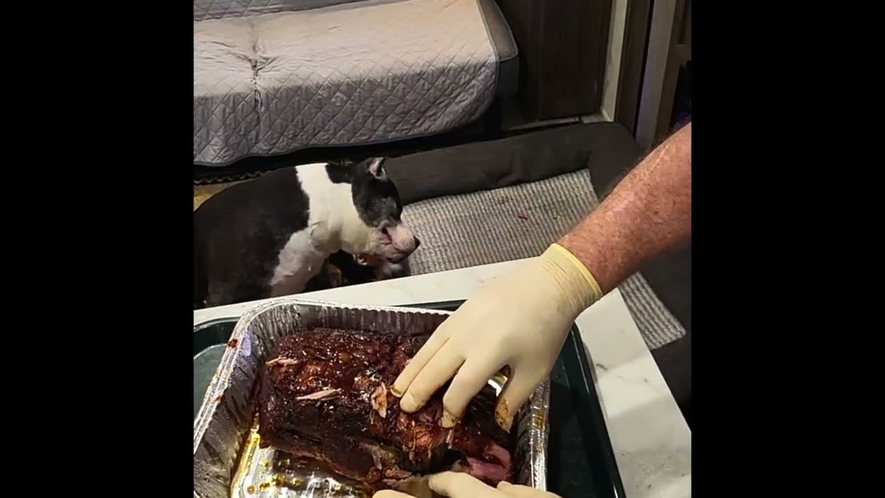 Smoking a Pork Butt on a Pit Boss Pellet Grill | Trim, Smoke & Shred. #pitboss 