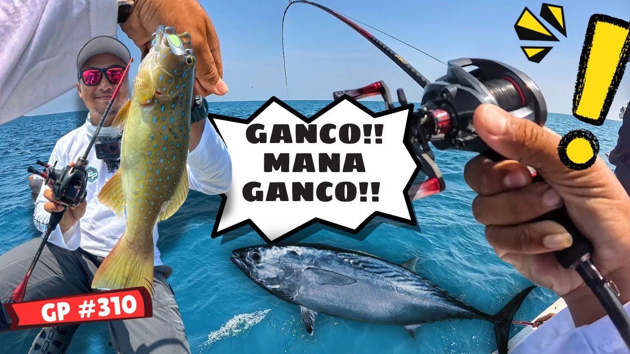 ED4N SIH INI‼️😱PAKAI BC BUAT MANCING DI LAUT‼️LAWAN IKAN-IKAN BESAR‼️MANTAP🤩Ultralight VS Ikan Besar