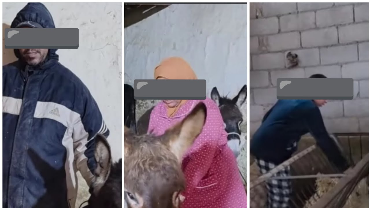  اخر ميكون ف المحتوى 