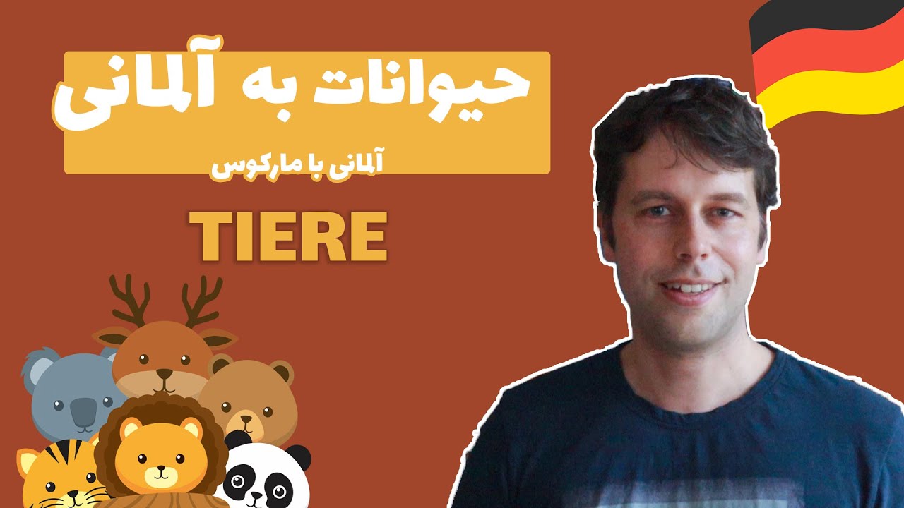 اسامی حیوانات در آلمانی | Tiere | دایره لغات | سطح آ1 تا ب1