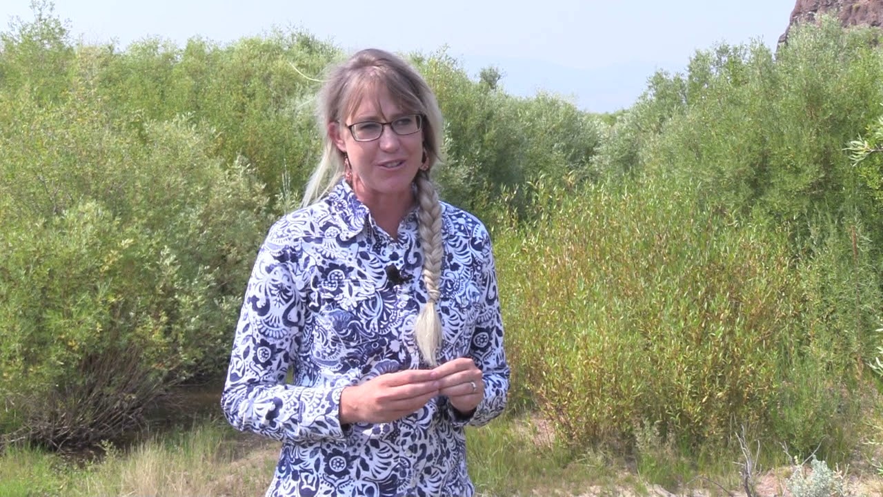 Addressing Drought through Restoration and Resilience, Working with Communities in Nevada