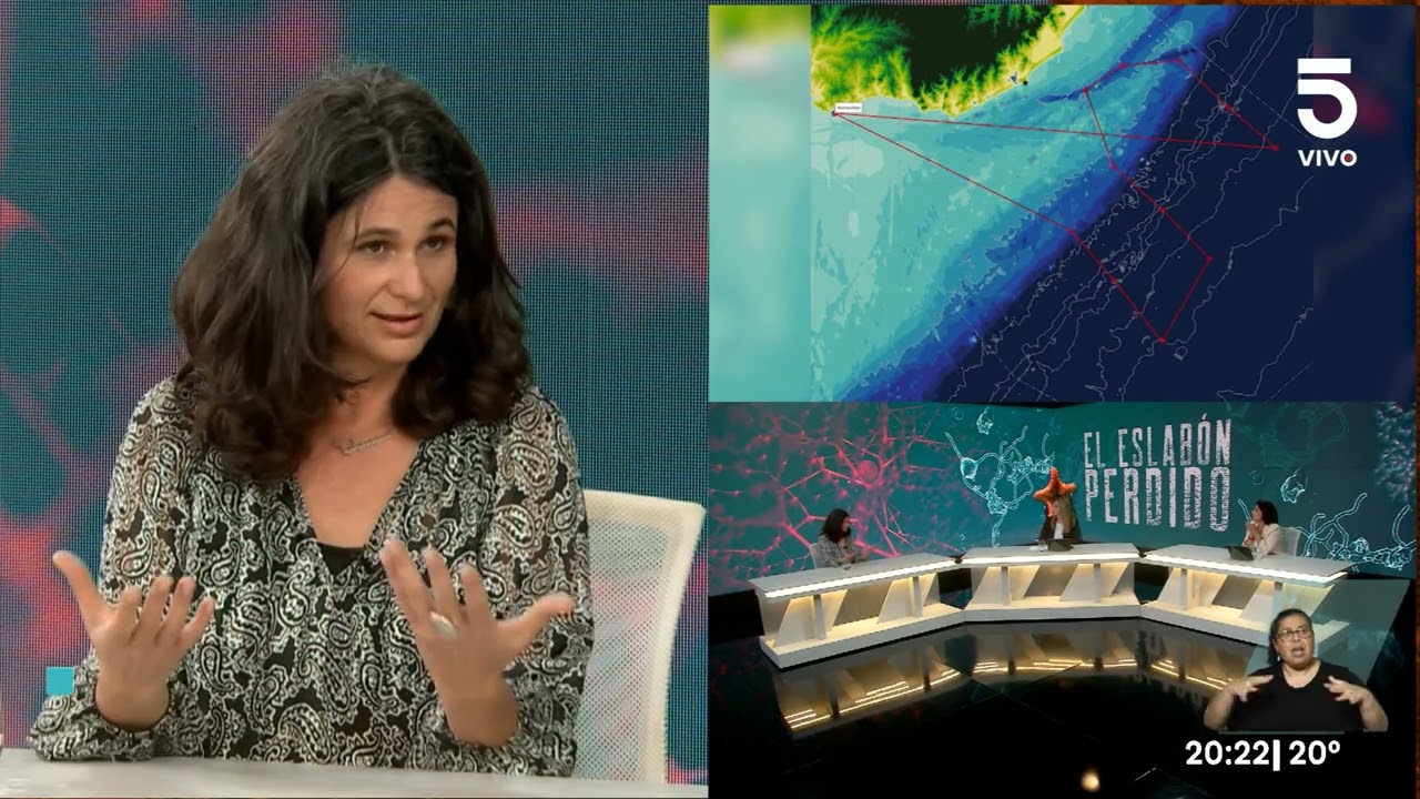 El eslabón perdido | Entrevista a Cecilia Alonso, especialista en ecología microbiana marina