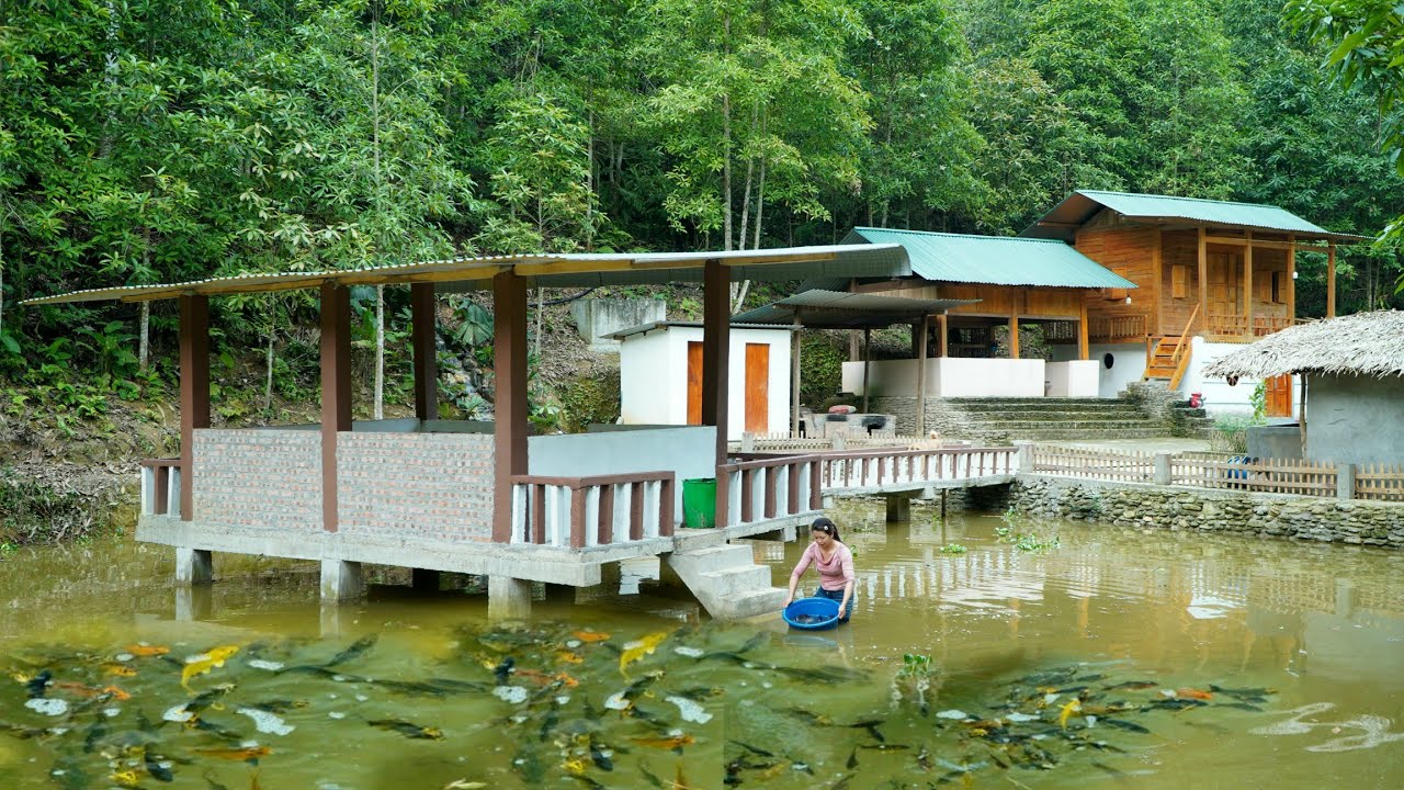 Harvest the fish and bring them back to the farm to release them into the pond - Ph&ugrave;ng Thị Ch&agrave;i
