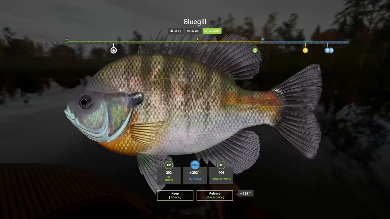 Russian Fishing 4 | Elk Lake – No Commentary Gameplay