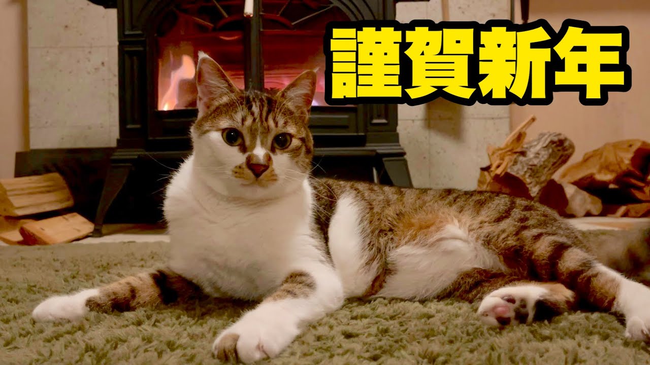 猫と過ごす正月。元日の夜から猫と薪ストーブ。大雪後の上信越道の様子もドライブ気分で楽しんでもらえると嬉しいですｗ
