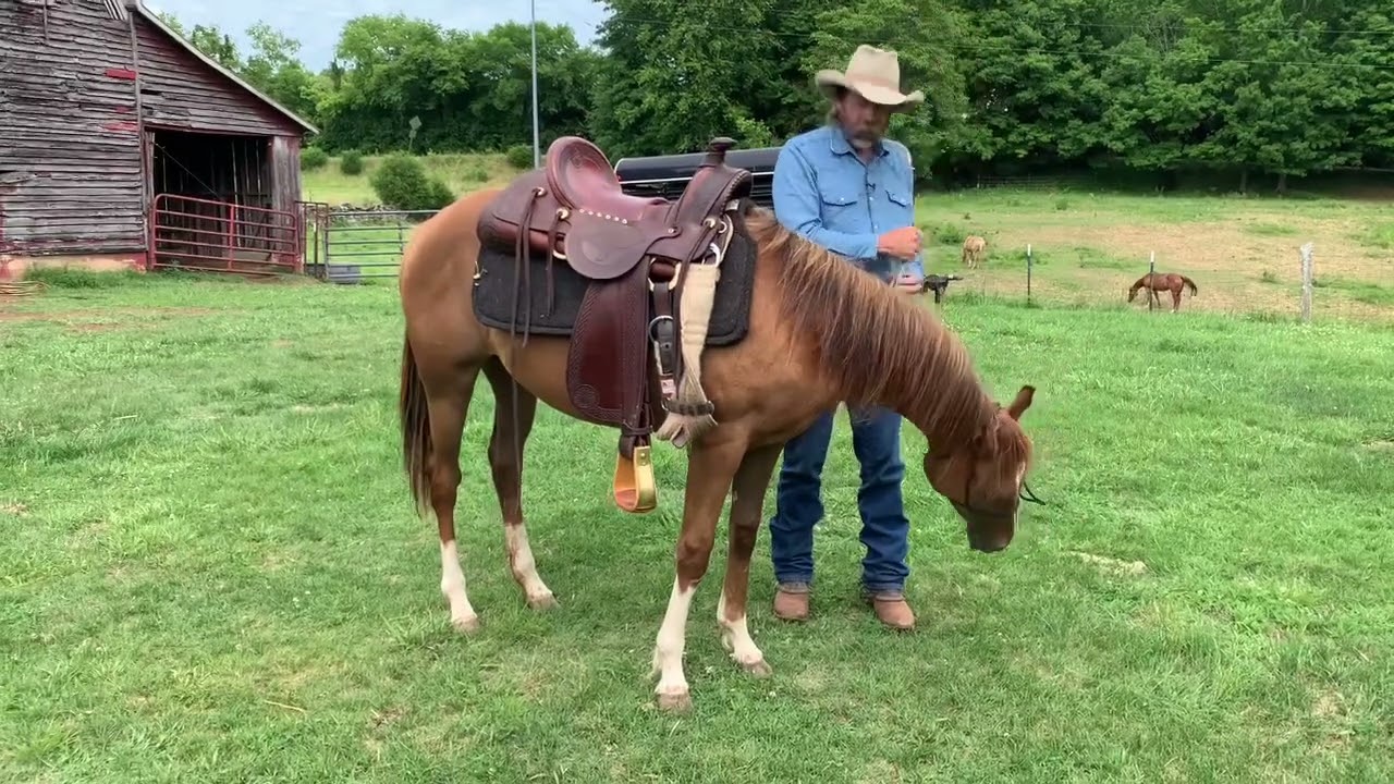 Rodeo’s First Saddle - A Boring Little Video