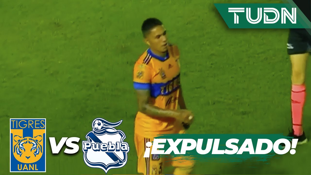 &iquest;Otra vez? Salcedo se va expulsado | Tigres 2-1 Puebla | Guard1anes 2020 Liga BBVA MX - J4 | TUDN