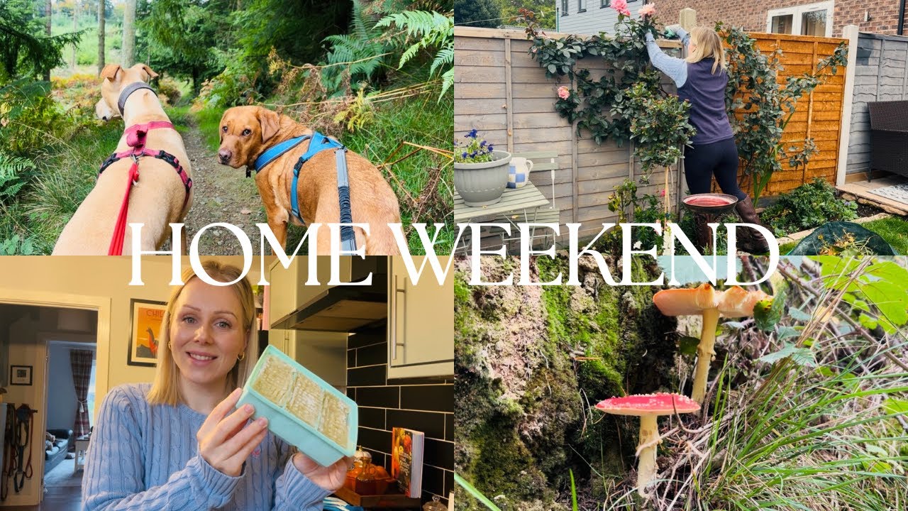 HOME DAYS | autumn garden maintenance&planting spring bulbs, meal prep & countryside walks