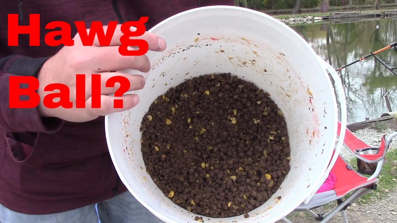 Carp fishing Hi-way springs with chow alternative pack bait
