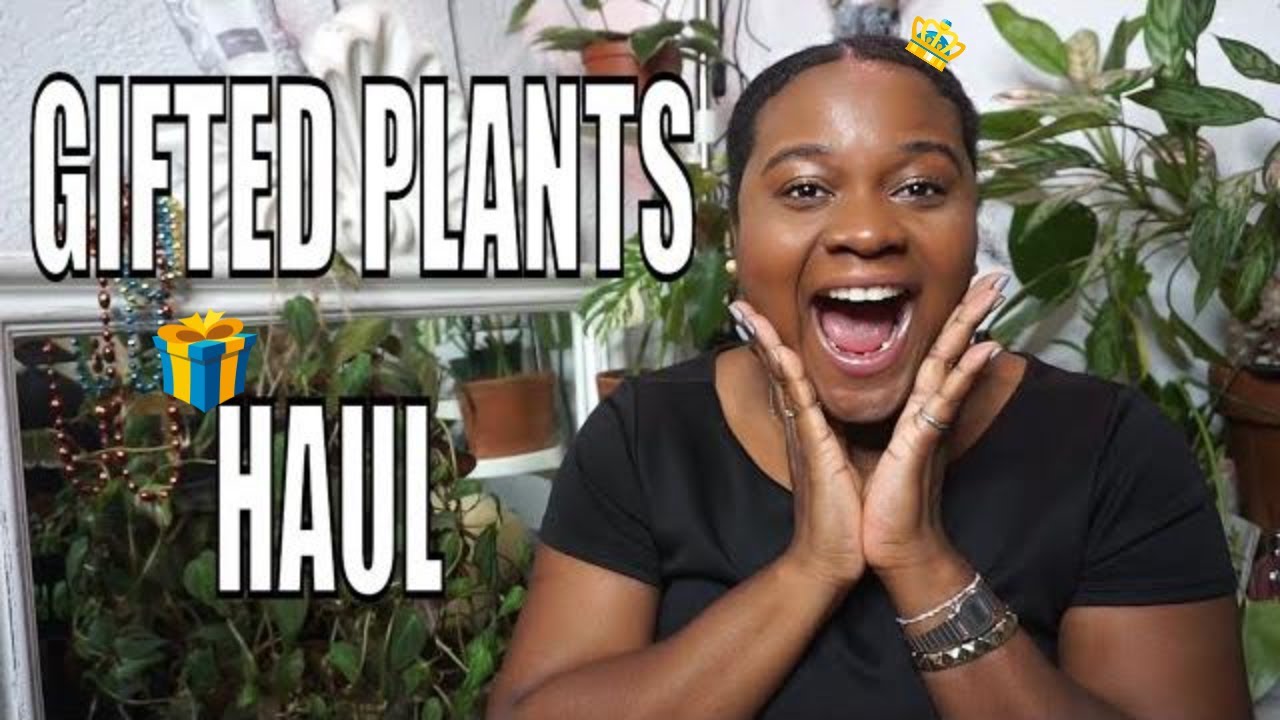 All Of The Plants I Was Gifted For My Birthday | Birthday Plant Haul