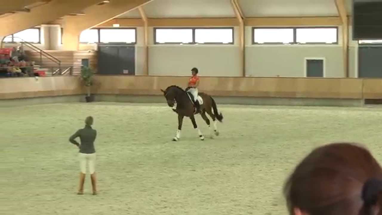 KNHS Trainingsseminar met Anky van Grunsven