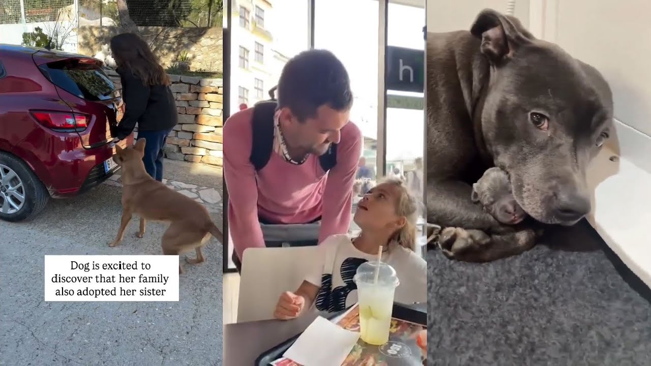 Random Act of Kindness - Restoring Faith in Humanity #6