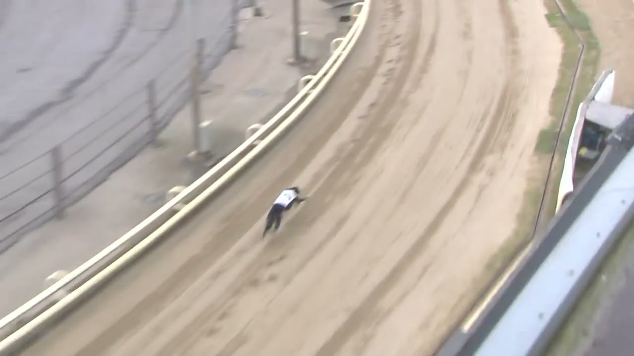 Greyhound 2026- 07.03.2026 Trial 2