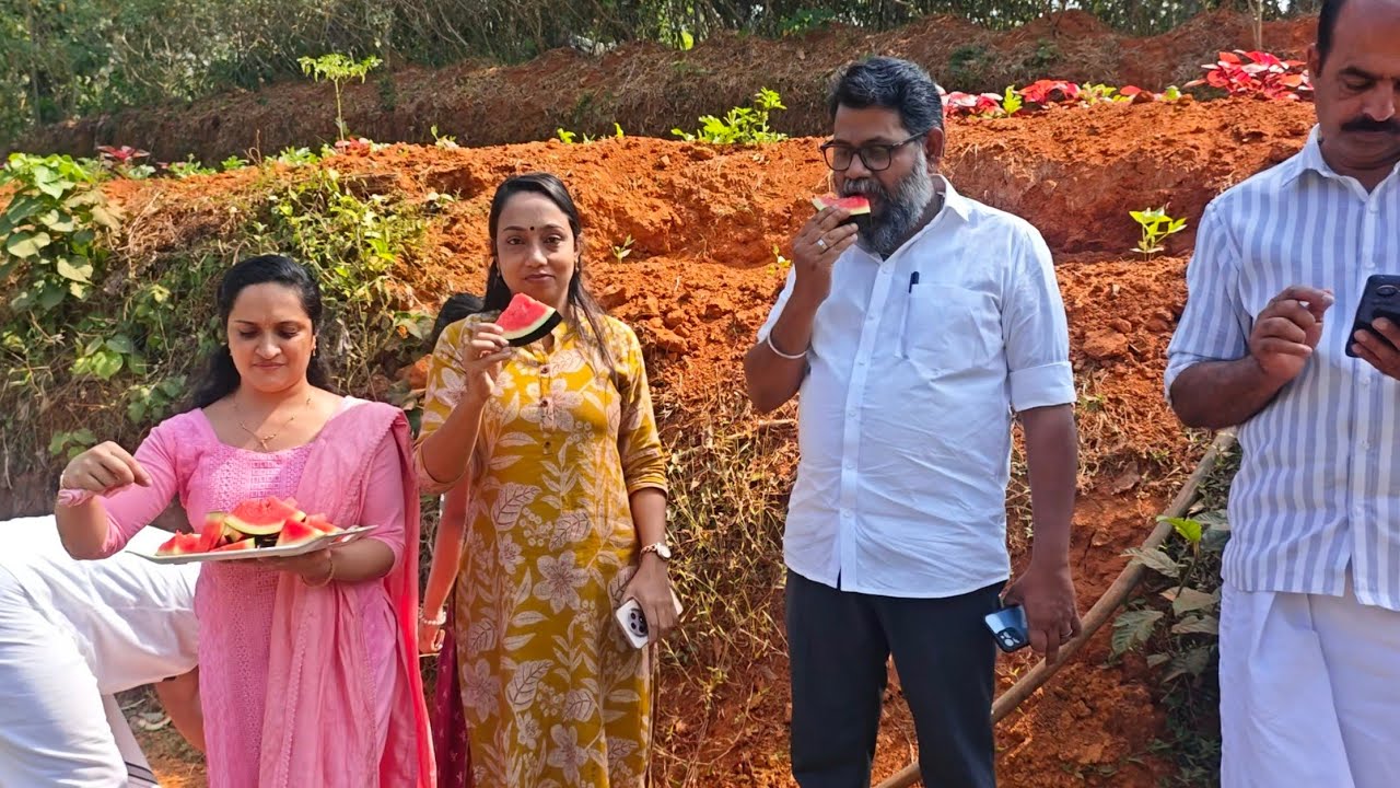 തണ്ണിമത്തൻ വിളയിച്ച് ഒരു ജനപ്രതിനിധി #agriculture #plants #fruit #watermelon 