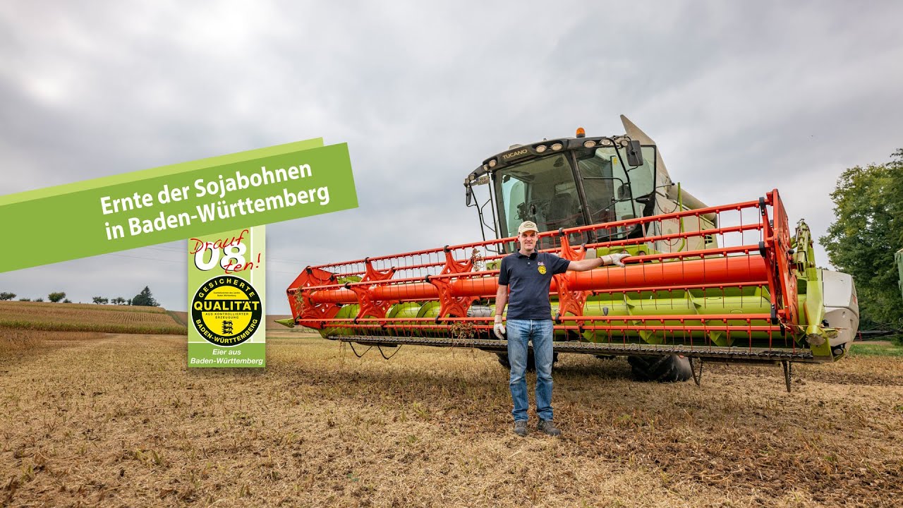 Sojabohnen-Ernte: lokaler Anbau f&uuml;r das H&uuml;hnerfutter