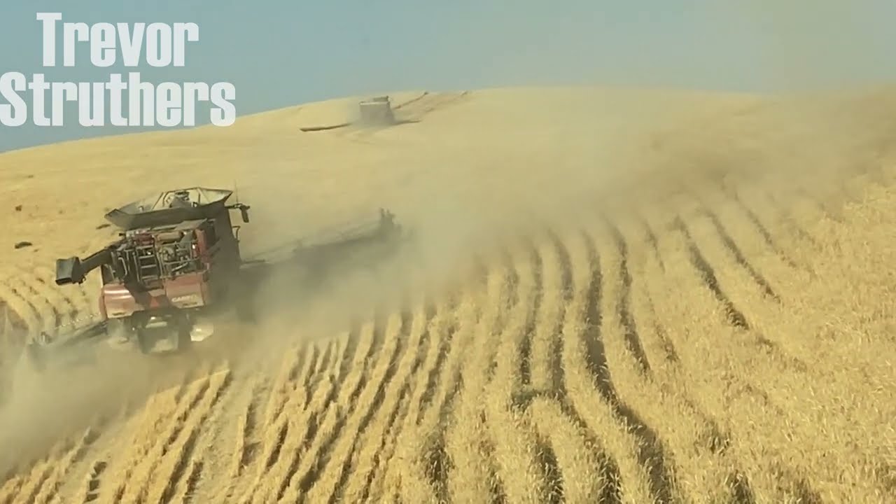 Too close to the edge - Grain Hogs S02E11
