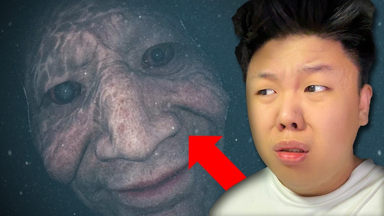 JANGAN NONTON INI KALO KALIAN TAKUT LAUT DAN PUNYA THALASSOPHOBIA!! 😨😨