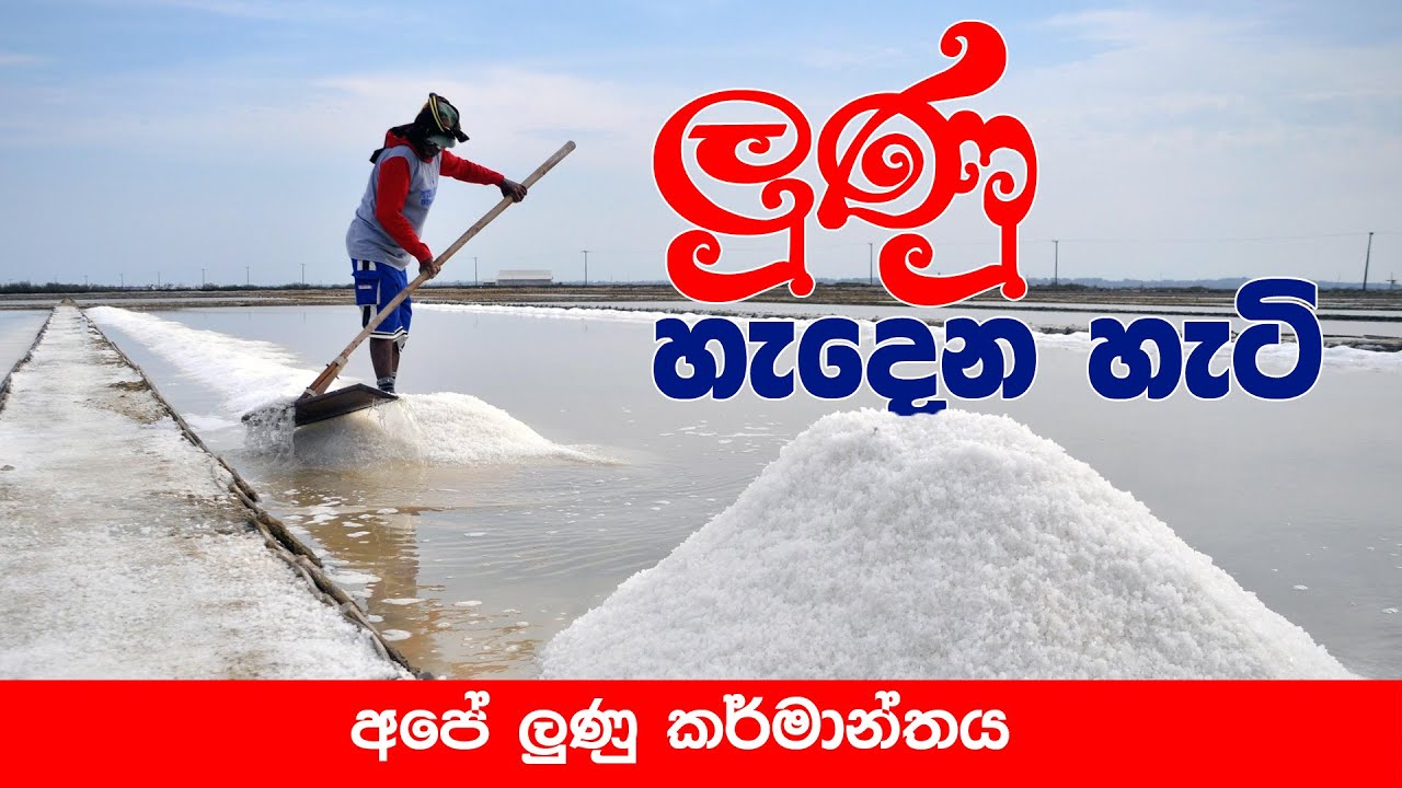 අපේ ලුණු කර්මාන්තය | salt industry in sri lanka | සොබාදහම මතු පරපුරට |  culture Documentary