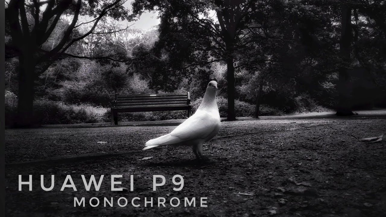 Huawei P9 Monochrome