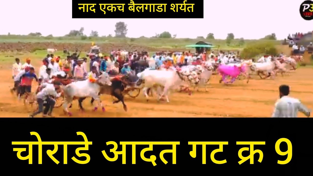 चोराडे आदत गट क्र 9 | bailagada sharyat live |