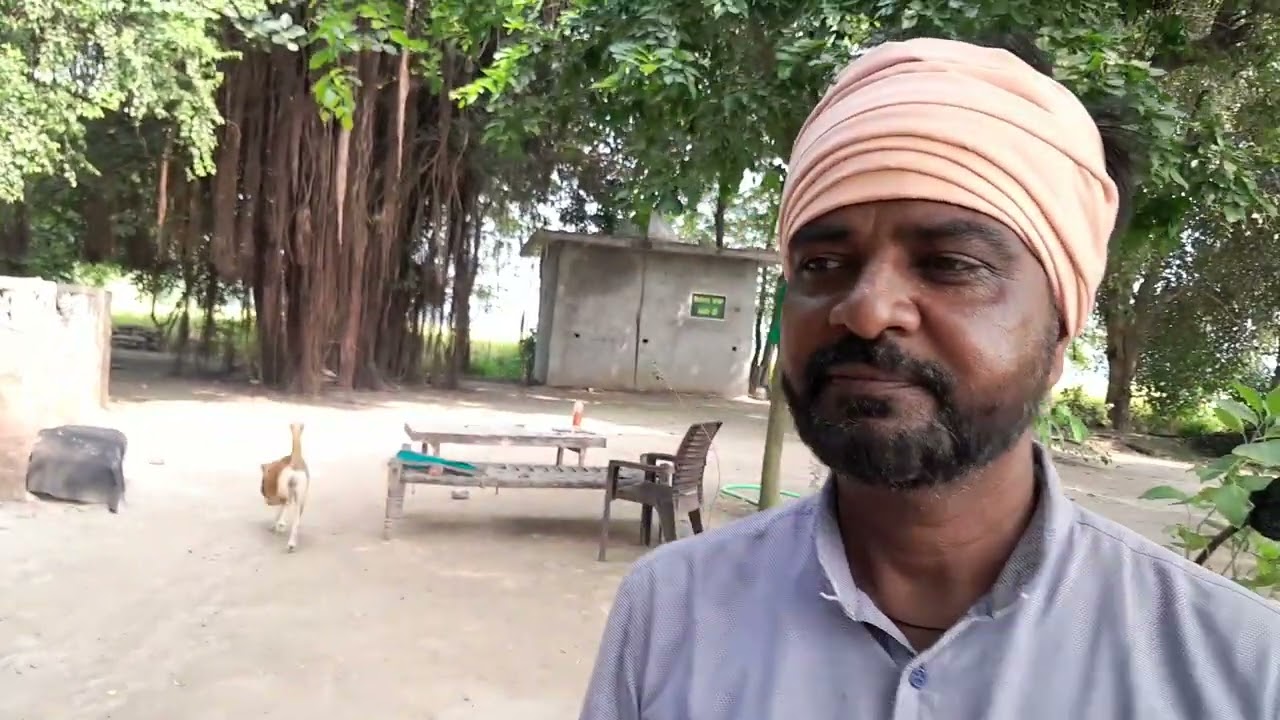 ਇਹ ਪੀਰਾ ਦੀ ਦਰਗਾਹ ਫਿਰੋਜ਼ਪੁਰ ਵਿਚ ਹੈ ਜਿੱਥੇ ਪਸ਼ੂ ਪੰਛੀਆ ਦੀ ਵੀ ਸਾਂਭ ਸੰਭਾਲ ਕੀਤੀ ਜਾਂਦੀ ਹੈ। 