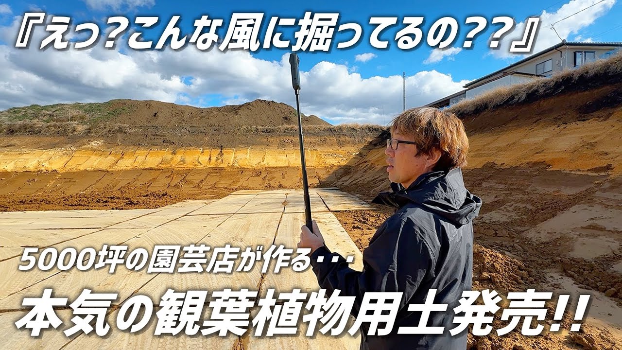 【衝撃の採掘場】万能観葉植物が"発売開始"したので裏側公開します!!