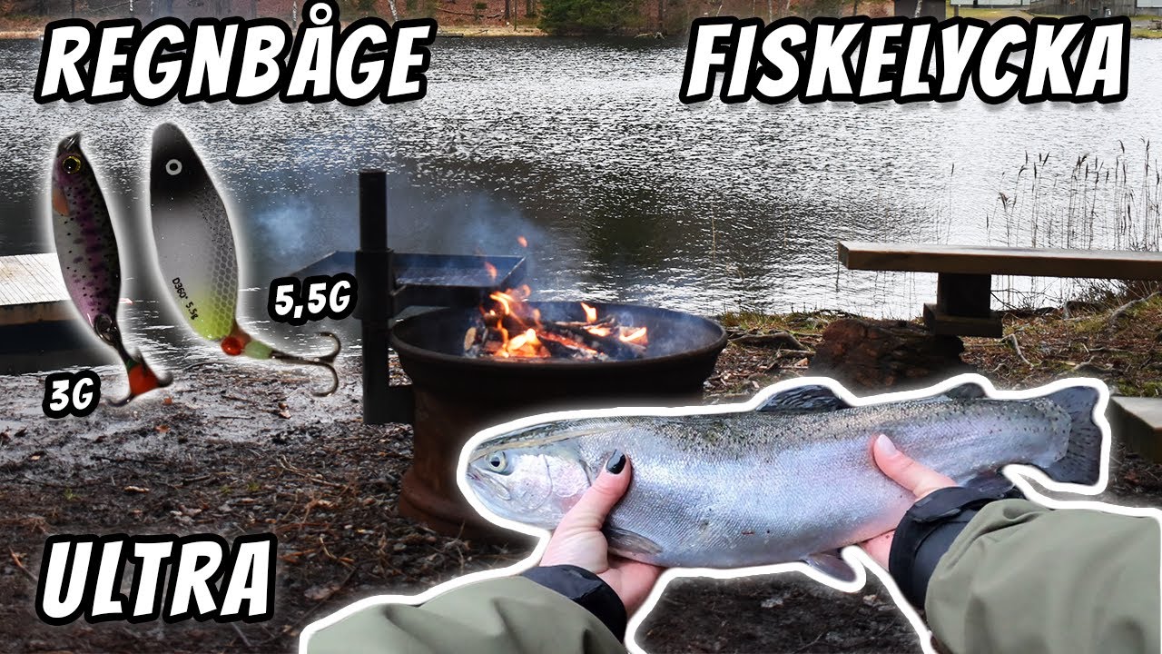 Ultral&auml;tt Spinnfiske Efter Regnb&aring;ge | Fiskelycka