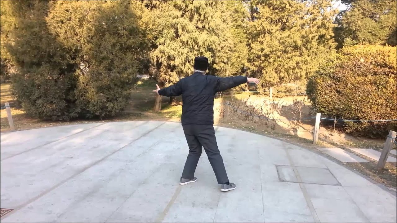 九旬老人太极集锦 (Tai Chi performed by a 90-year-old)