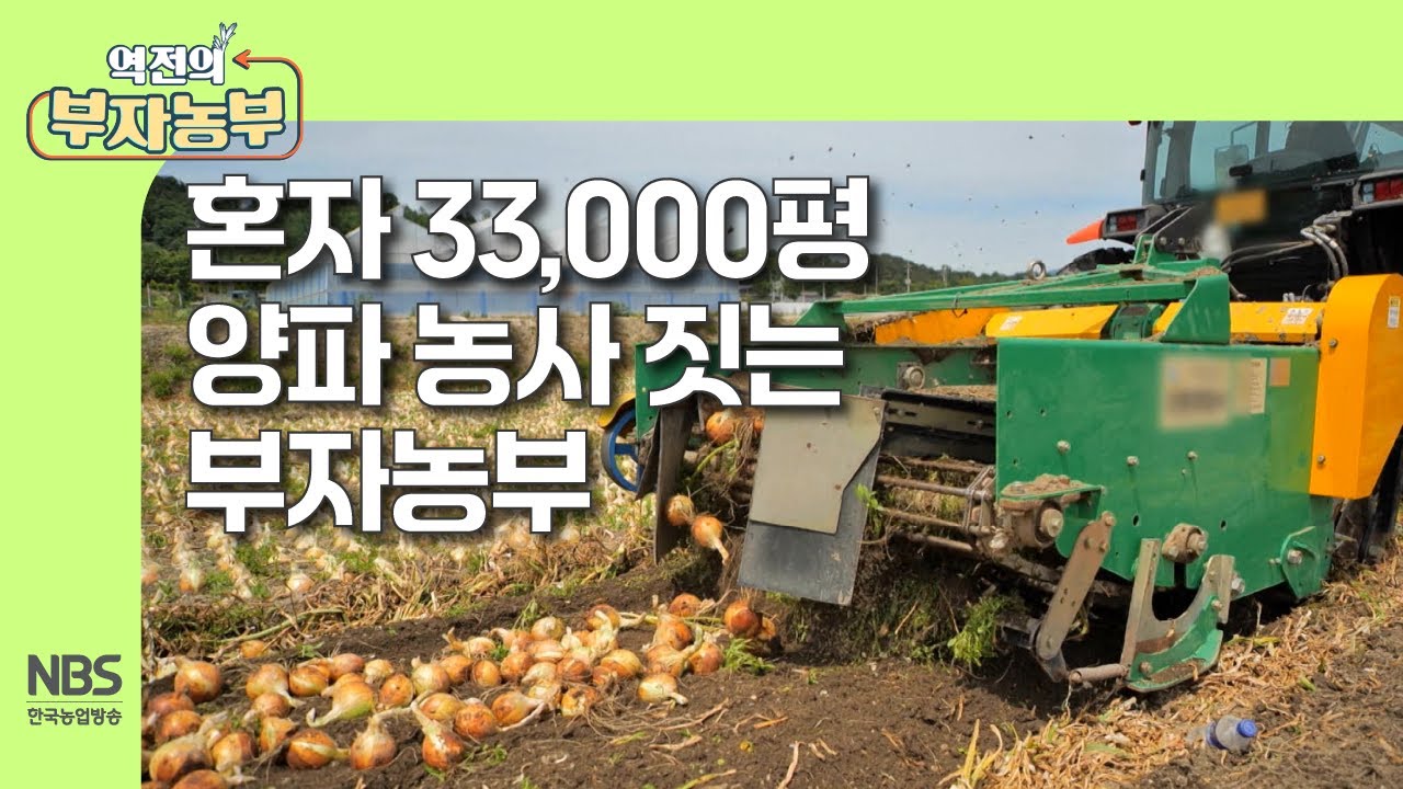 [역전의부자농부 306회]  혼자 33,000평 양파 농사 짓는 부자농부