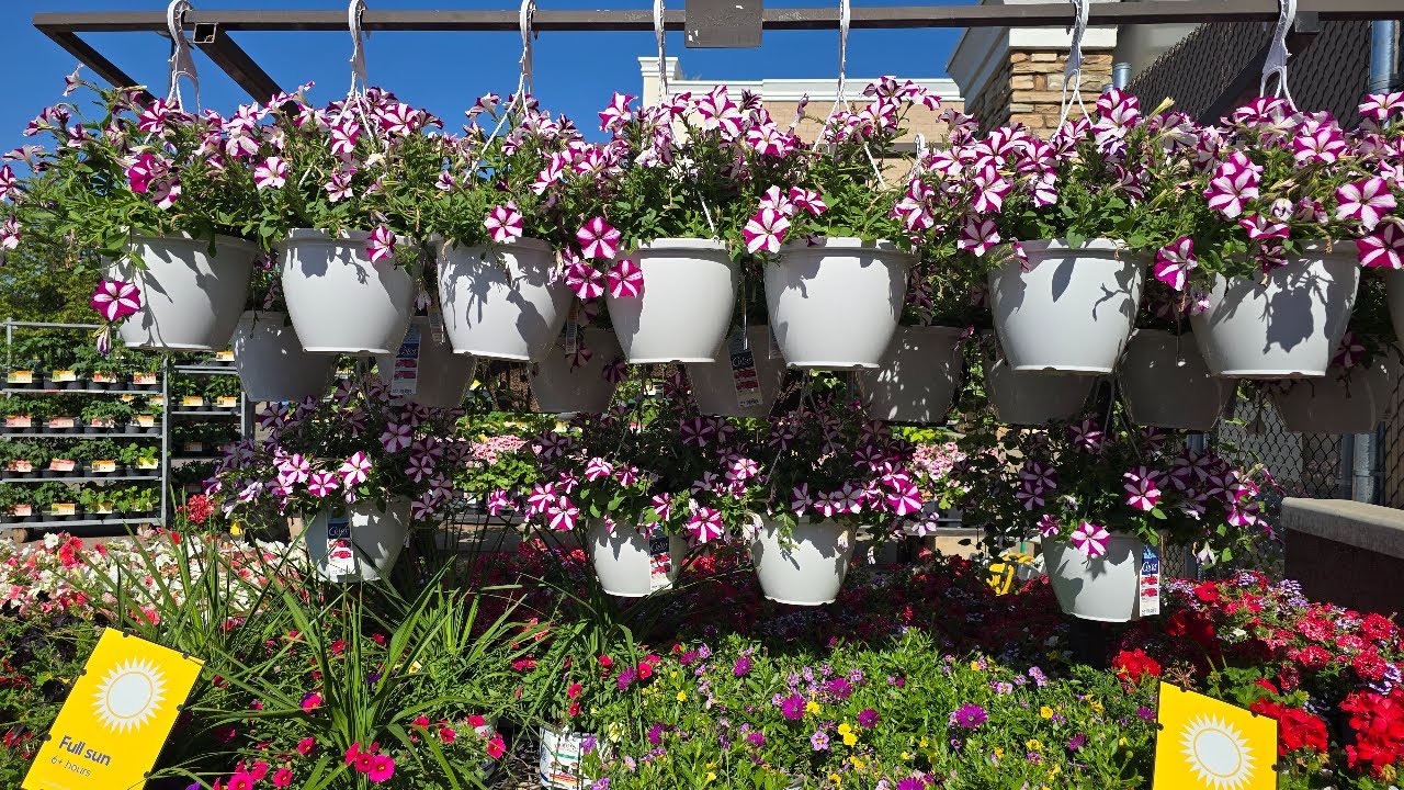 New At Lowe's Garden Center Summer 2025!!!
