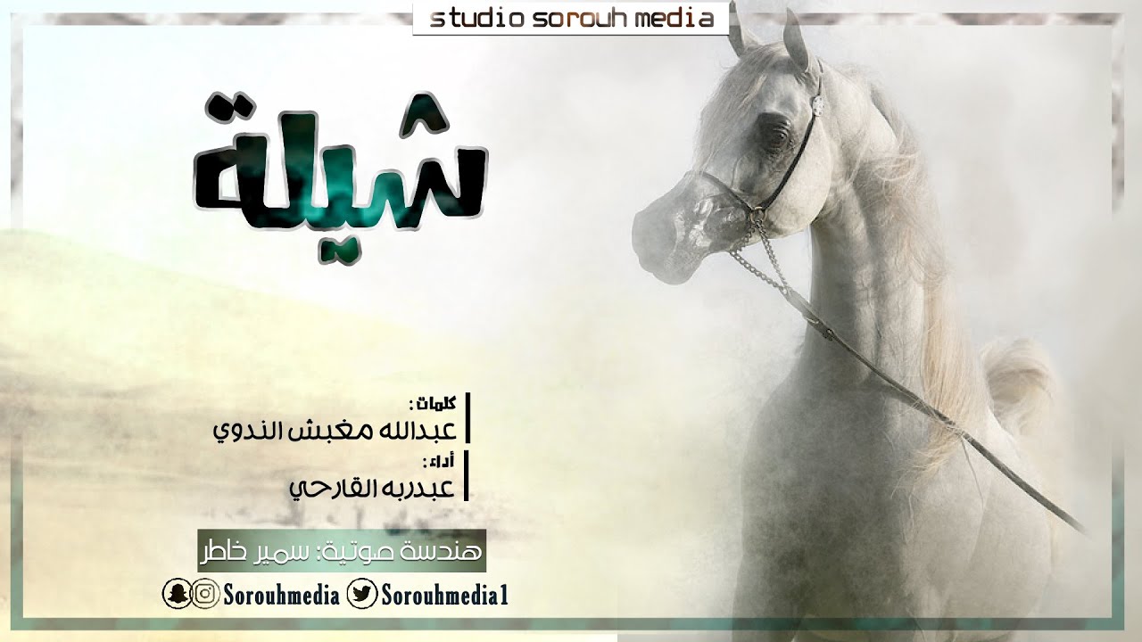 شيلة 2021 | كلمات: عبدالله مغبش الندوي، أداء: عبدربه القارحي | صروح الإعلامية