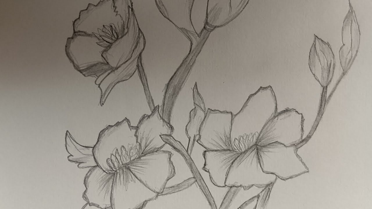 Beautiful Flowers Drawing Tutorial Step by Step ||easydraw ||drawingtutorial ||easyartlover 