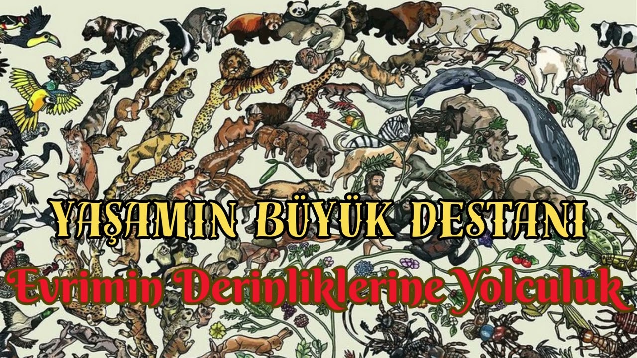 Evrimsel Biyolojiye Giriş: Yaşamın B&uuml;y&uuml;k Destanı