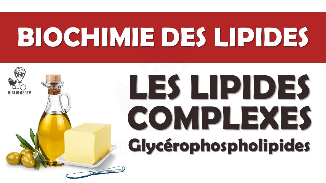 Biochimie des Lipides Complexes - les Glycérophospholipides