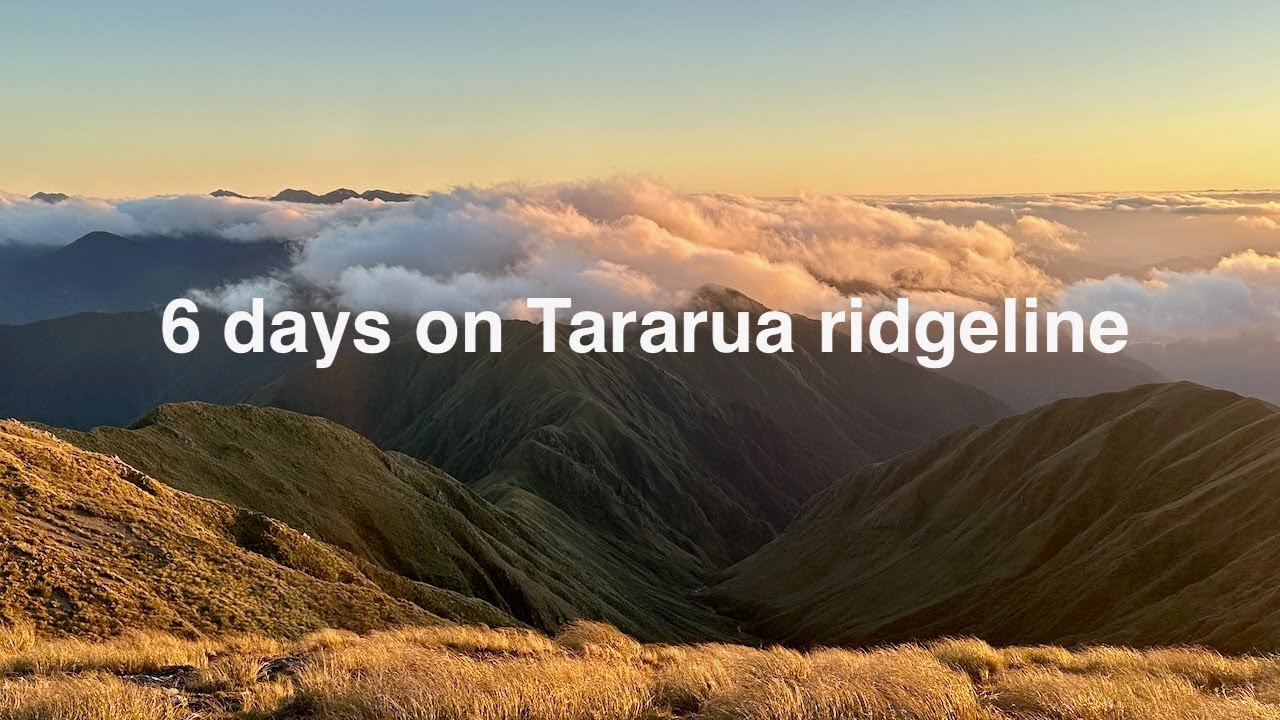 6 days on Tararua ridgeline, Southern Crossing, Northern Crossing, Maungahuka, Steel Ladder