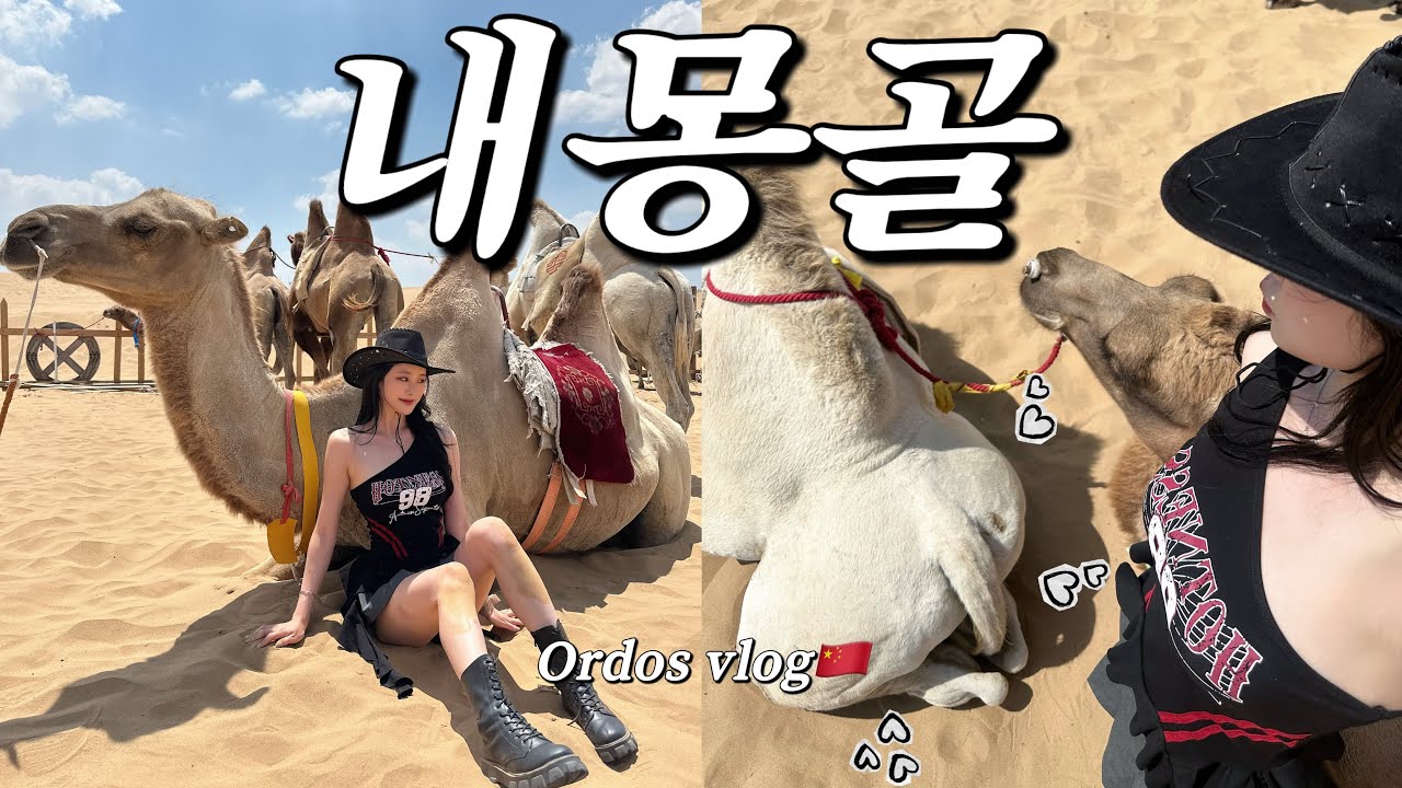 내몽골vlog🇨🇳| 중국 내 몽골 오르도스 패키지 여행🐫 ( 초원🌿•사막🌵•별✨)