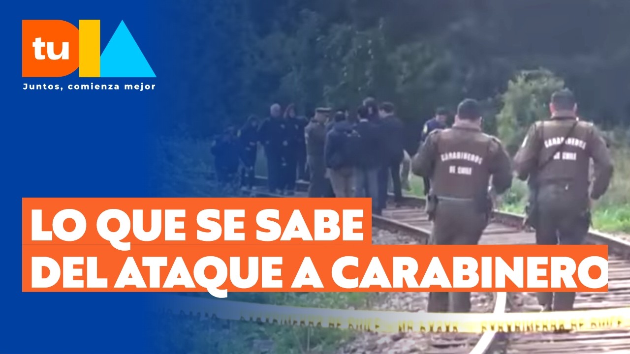 Así se desarrollaron los hechos que mantiene a carabinero con muerte cerebral en Puerto Varas