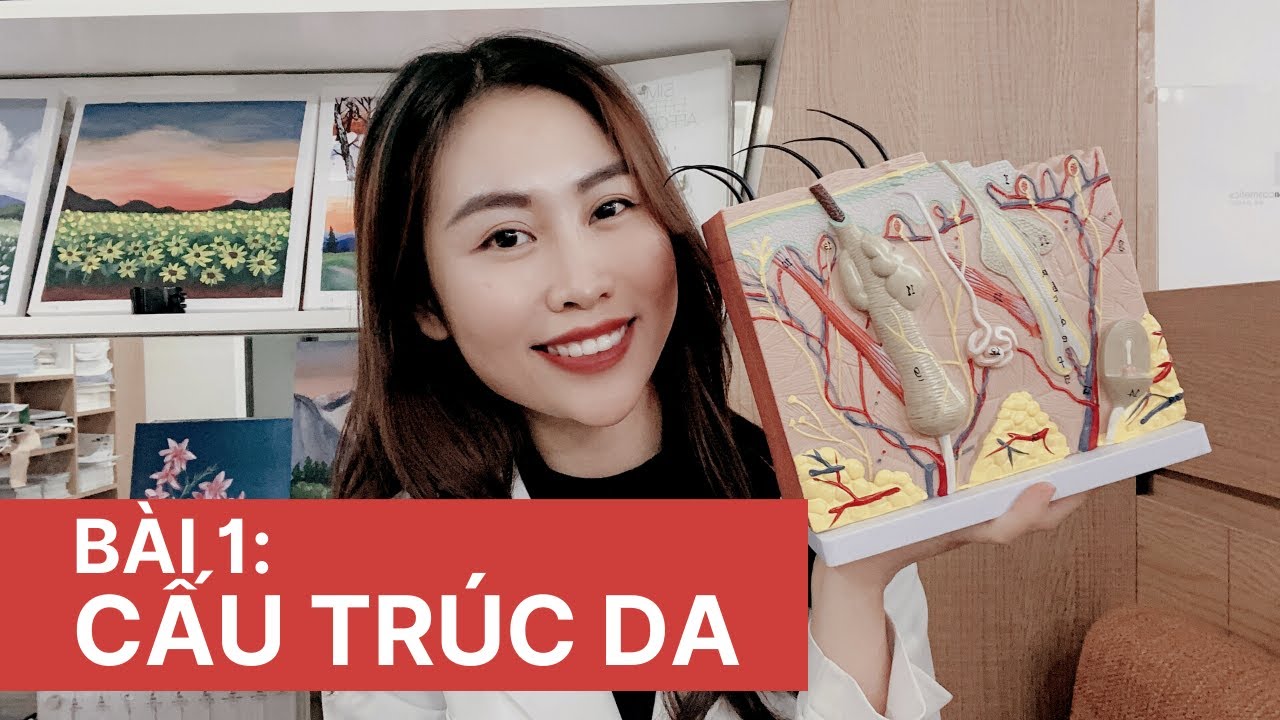 [Bài 1] Cấu trúc da - 100 bài học về Da liễu thẩm mỹ - Bác sĩ Phương